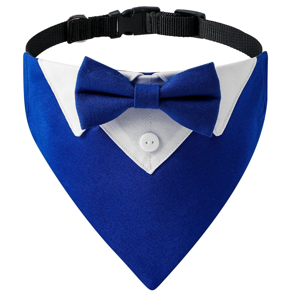 Bandana pour chien de couleur bleu avec classe pour les chiens. Image produit Boutiquechien