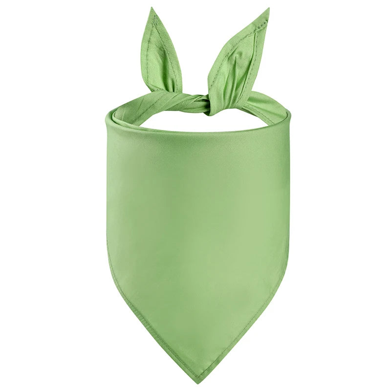 Bandana pour chien de couleur vert de couleur unie. Image produit Boutiquechien