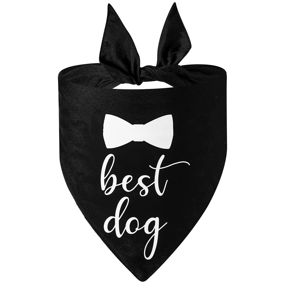 Bandana pour chien de couleur blanc avec écriture noir. Image produit Boutiquechien