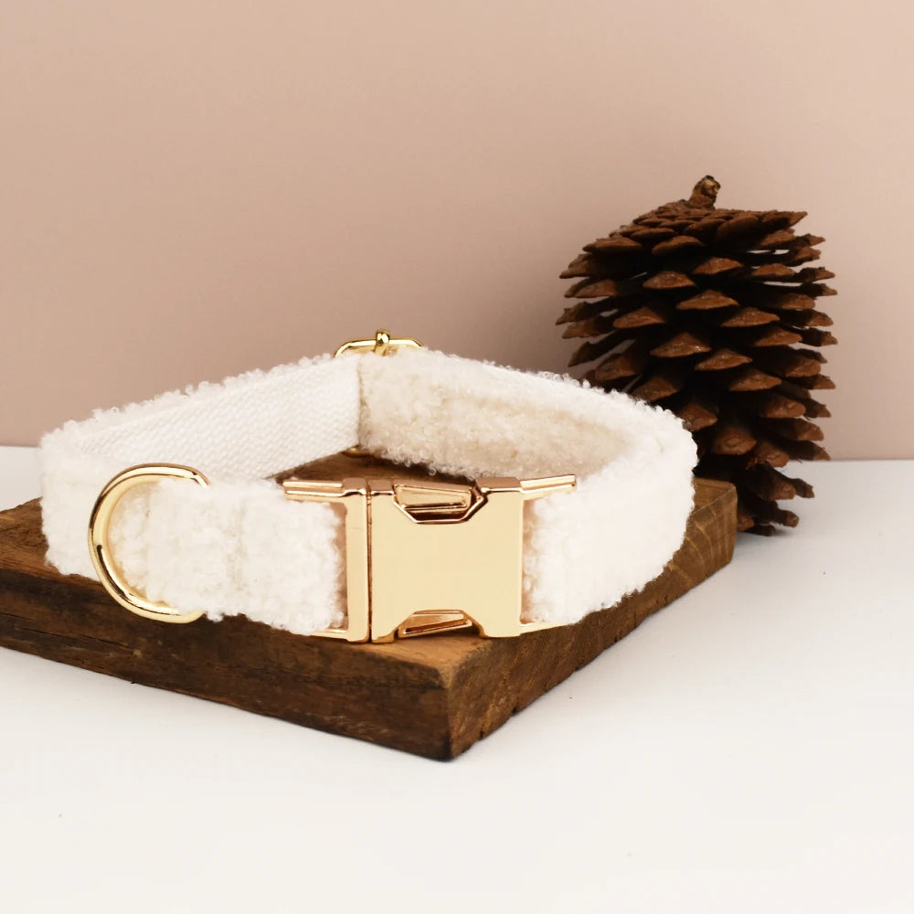 Beau collier chien blanc