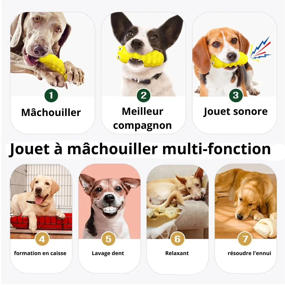 chien jouant avec la chenille à mâchouiller pour avoir une bonne santé. Le mâchouillage est un grand bien fait pour les chiens. Image produit Boutiquechien
