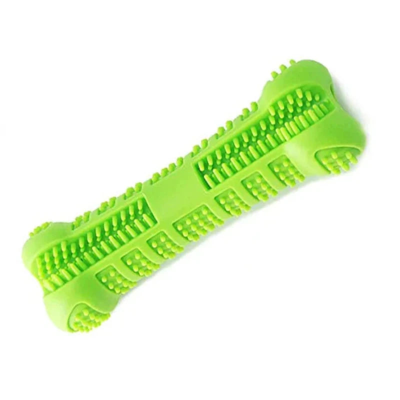 Brosse à dent pour chien de couleur vert en forme d'os de boutiquechien