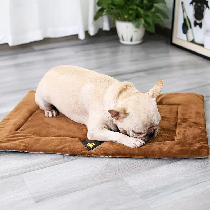 Buldog blanc couché sur un tapis chien auto chauffant de couleur brun. Le tapis chien est dans une pièce de couleur blanche. Image produit Boutiquechien
