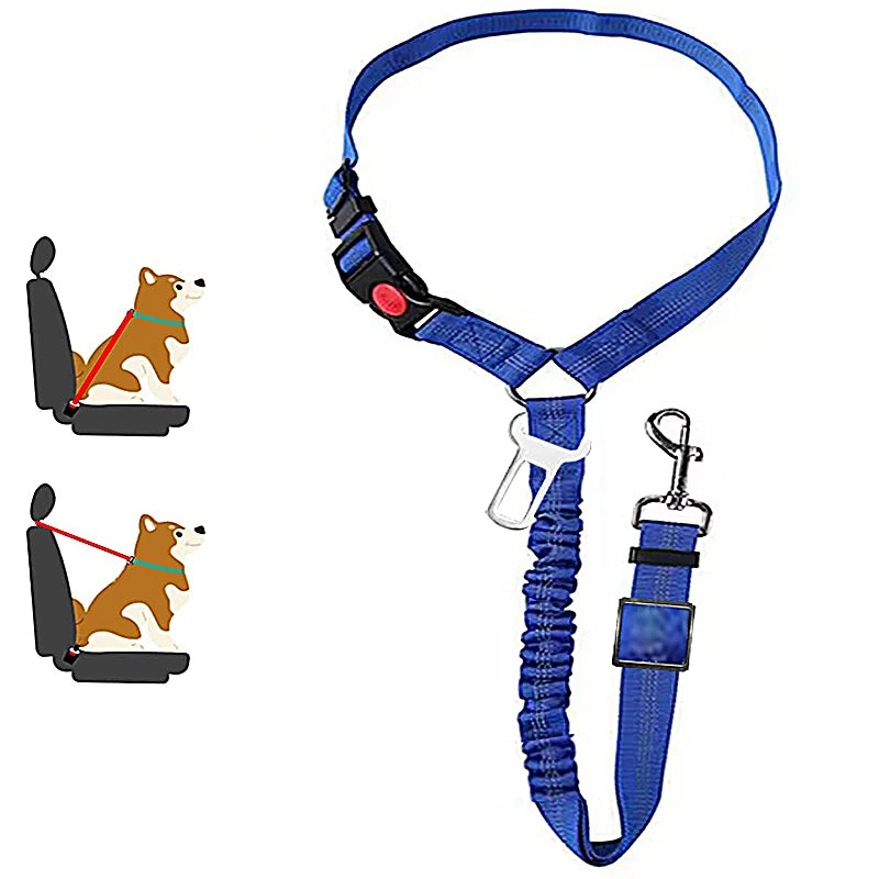 ceinture de sécurité de couleur bleu avec de nombreuses attache pour chien. Image produit Boutiquechien