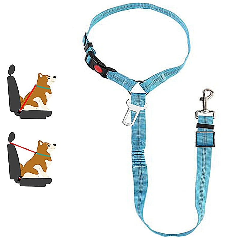 ceinture de sécurité de couleur bleu avec de nombreuses attache pour chien. Image produit Boutiquechien