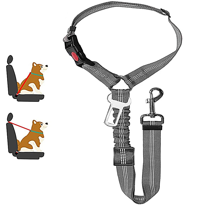 ceinture de sécurité de couleur gris
avec de nombreuses attache pour chien. Image produit Boutiquechien