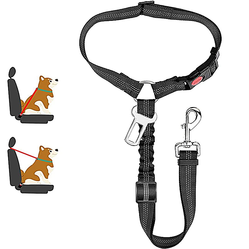 ceinture de sécurité de couleur noir avec de nombreuses attache pour chien. Image produit Boutiquechien