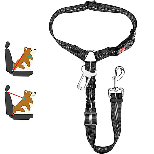 ceinture de sécurité de couleur noir avec de nombreuses attache pour chien. Image produit Boutiquechien