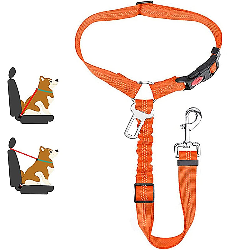 ceinture de sécurité de couleur orange avec de nombreuses attache pour chien. Image produit Boutiquechien