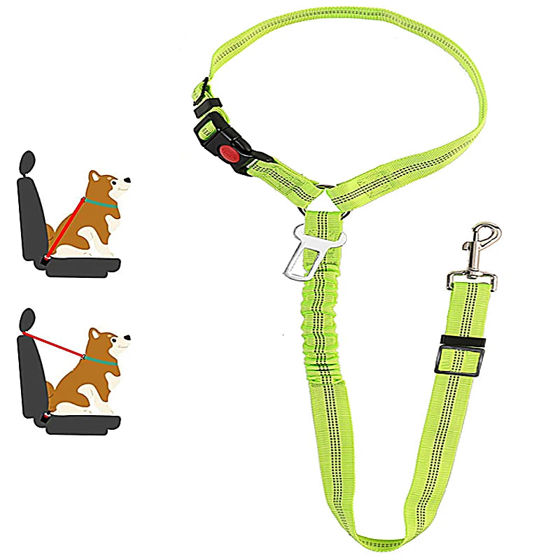 ceinture de sécurité de couleur vert avec de nombreuses attache pour chien. Image produit Boutiquechien