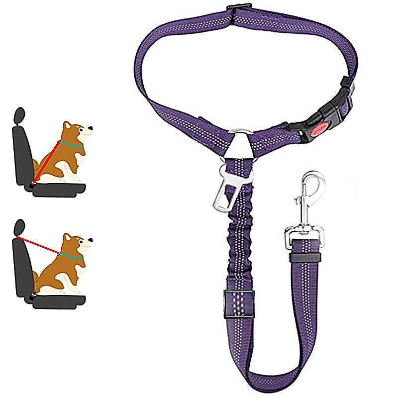 ceinture de sécurité de couleur violet avec de nombreuses attache pour chien. Image produit Boutiquechien