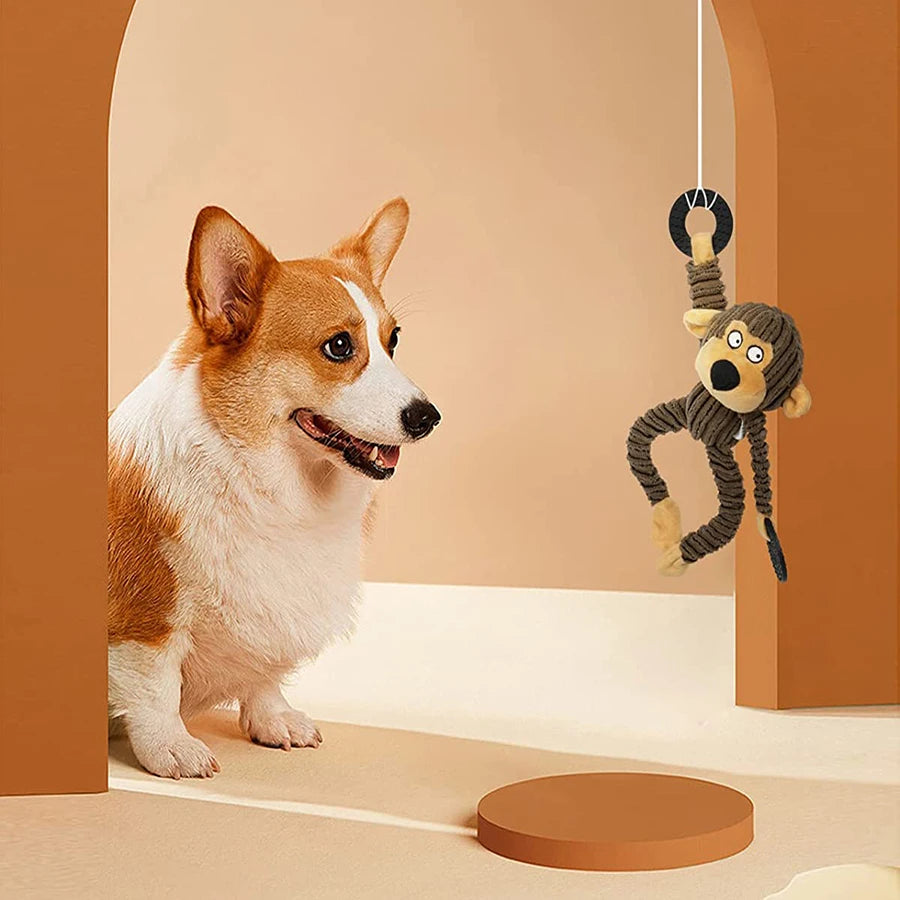 Chien dans un lieu marron. Le chien regarde la peluche resistant de couleur brun de Boutiquechien