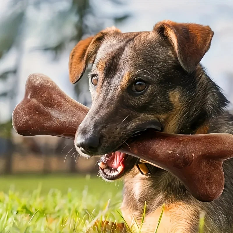 Chien montrant le chien jouant avec son resistant à mâchouiller. Image produit Boutiquechien