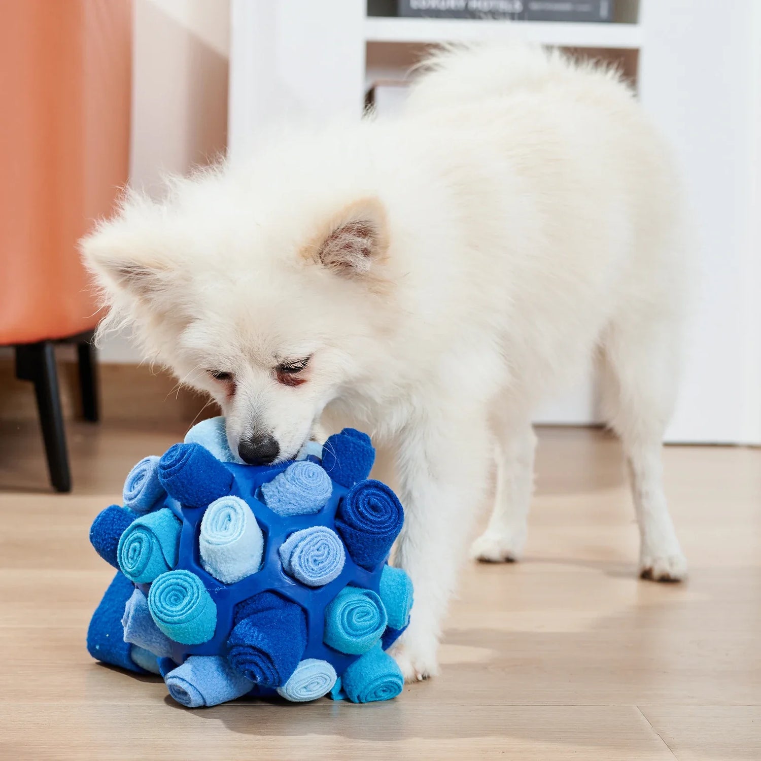 Petit chien blanc à long poil qui joue avec sa boule sensorielle respirant de couleur bleu. En fond il y a un canaoé orange et un meuble blanc. Image produit Boutiquechien