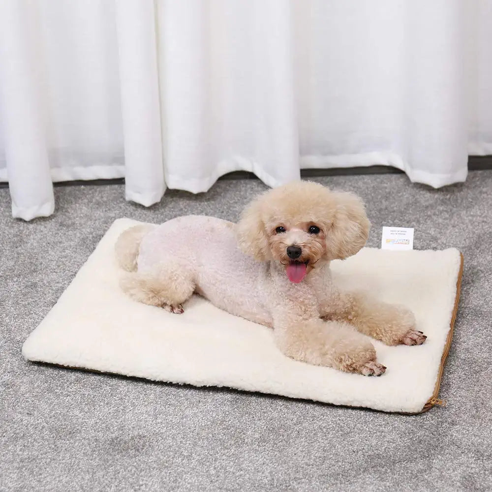 Chien blanc couché sur son tapis auto chauffant de couleur blanc. Le chien est de couleur blanc et il est près d'un rideau blanc. Image produit Boutiquechien