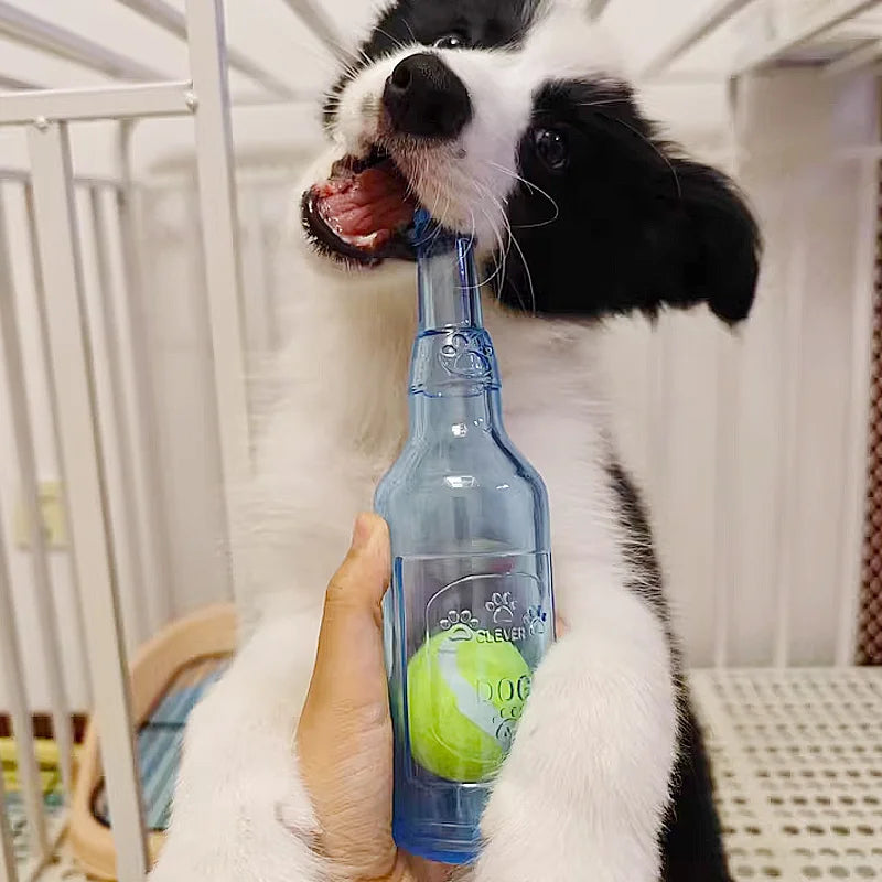 Chien blanc et noir jouant avec sa bouteille à balle de couleur bleu. Image produit Boutiquechien