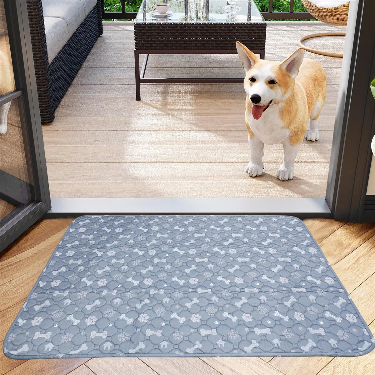 Tapis chien sur une parquet bois. Le chien est brun et blanc sur une terrasse claire. Image produit Boutiquechien