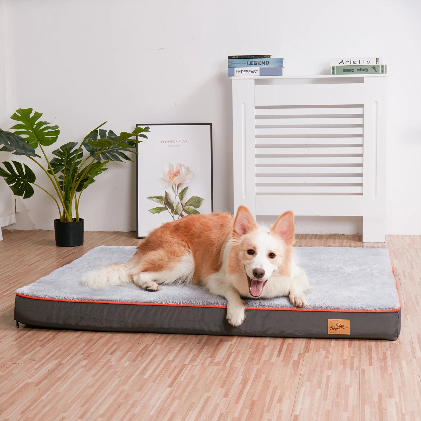grand tapis pour chien de couleur gris. Le chien est de couleur Roux et blanc avec en fond une plante verte et un meuble blanc. Image produit Boutiquechien