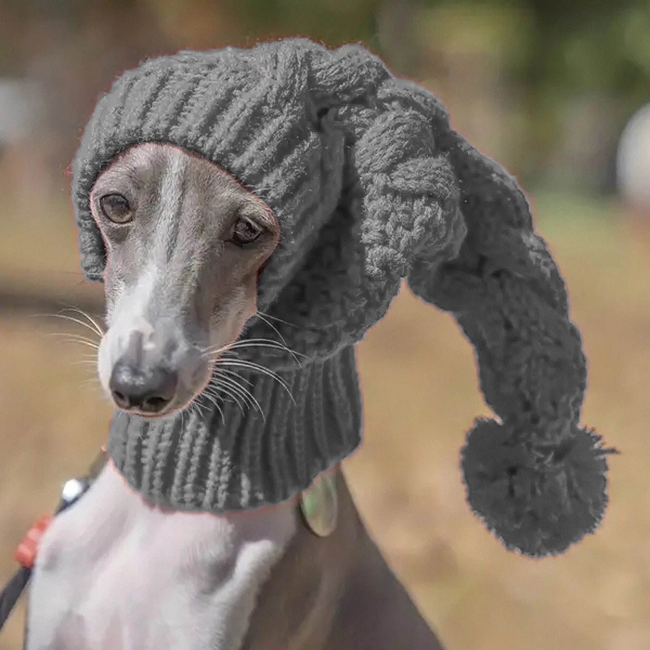 Chien de taille moyenne gris avec un bonnet pour chien intégral cagoule de couleur gris. Image produit Boutiquechien