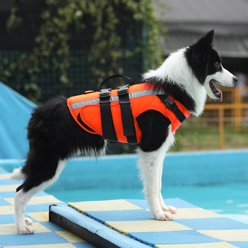 Chien portant un harnais de nage de couleur orange et noir avec un rappel réfléchissant gris proche d'une piscine.< Image produit Boutiquechien