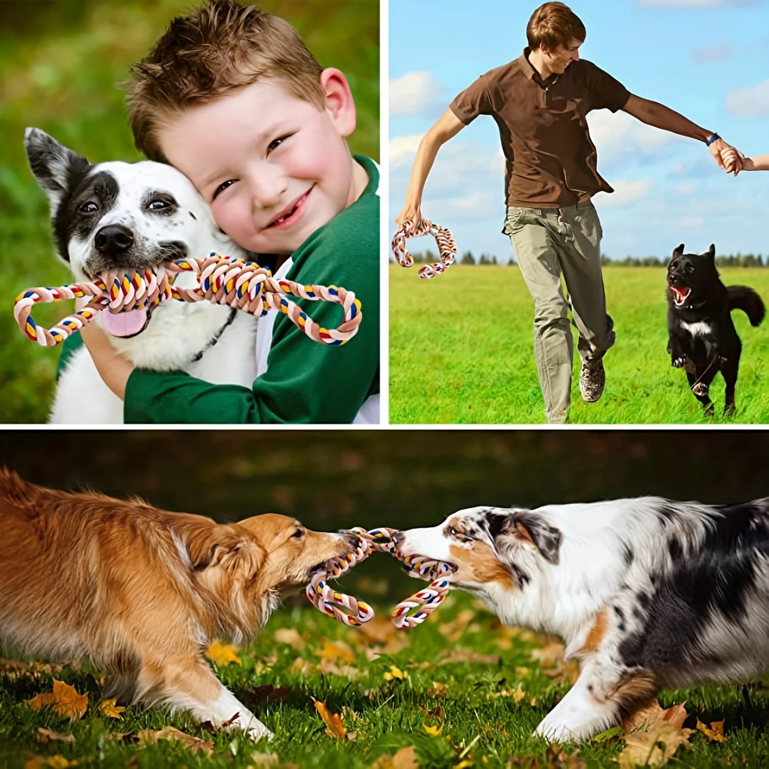 Chien jouant avec le jouet chien resistant de couleur blanc. Les chiens jouent ensemble au tir à la corde avec ce jouet. Image produit Boutiquechien