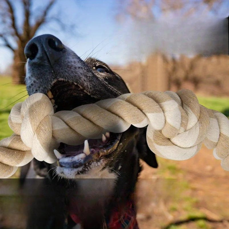 Chien jouant avec son os en corde résistant résistant. Image produit Boutiquechien