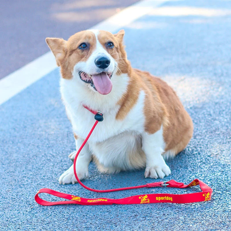 Collier étrangleur rouge avec laisse intégré pour chien. Image produit Boutiquechien