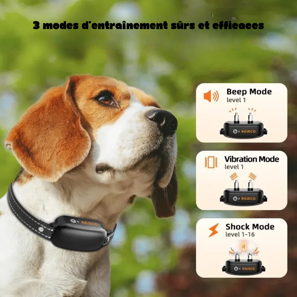 Collier chien de dressage avec trois modes d'éducation. Un moyen sonore, vibration et électrique parfait pour dresser votre chien. Image produit Boutiquechien