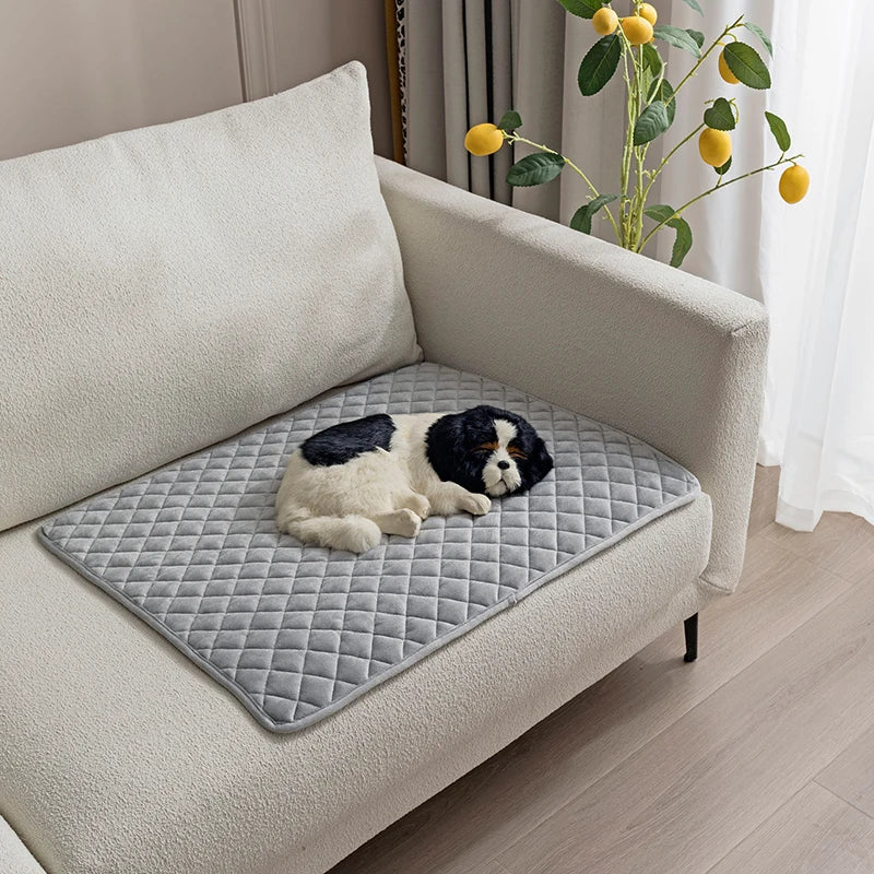 tapis de protection de canapé pour les chiots; Un chiot de couleur noir et blanc est couché sur un canapé de couleur blanc avec en fond un citronnier. Image produit Boutiquechien