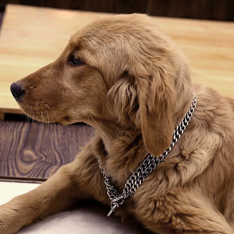 collier chien portant le collier étrangleur de couleur métal. Le cocker est de couleur brun claire et il est couché par terre. Image produit Boutiquechien