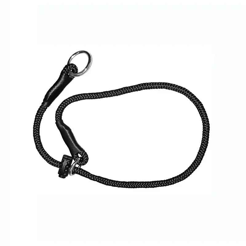 collier pour chien anti-traction de couleur noir de Boutiquechien