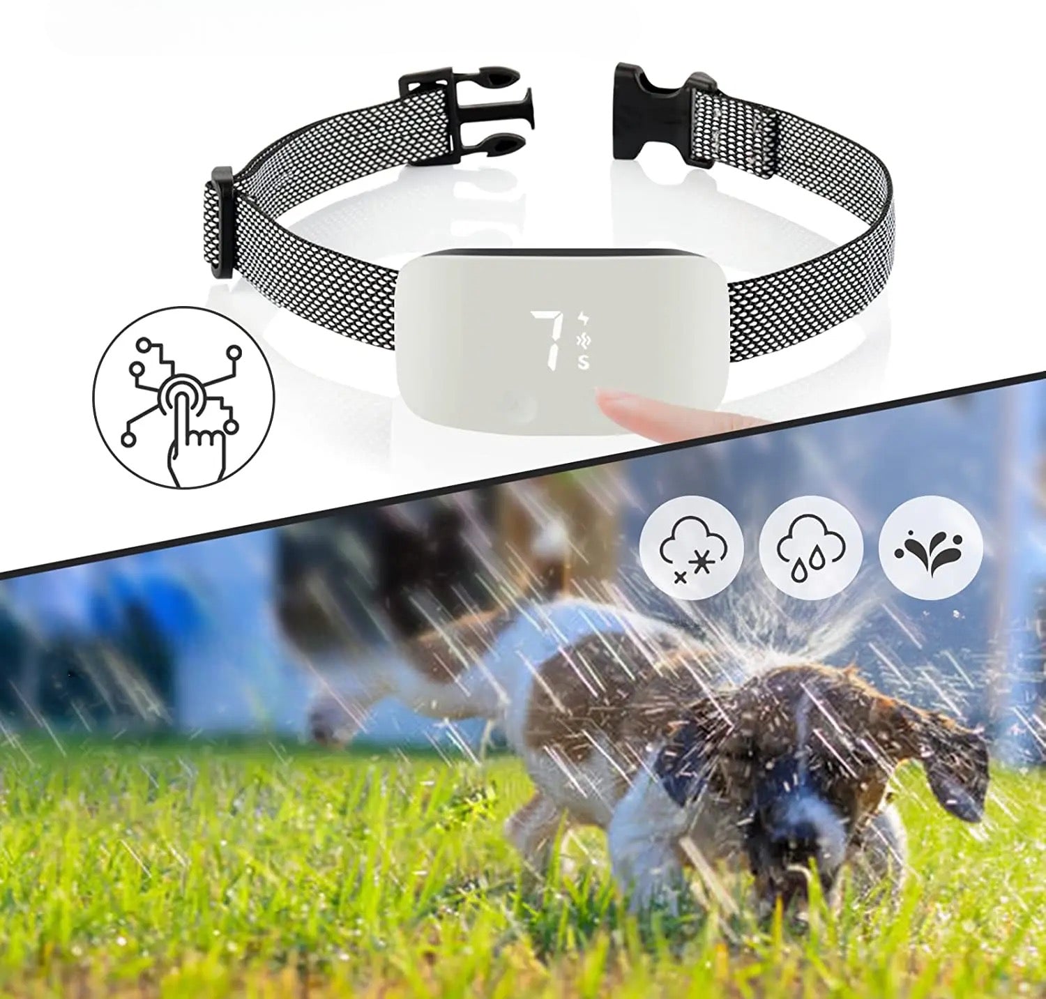 Collier chien de couleur blanc résistant à l'eau. Petit chiot jouant dans l'herbe avec le collier chien. Image produit Boutiquechien