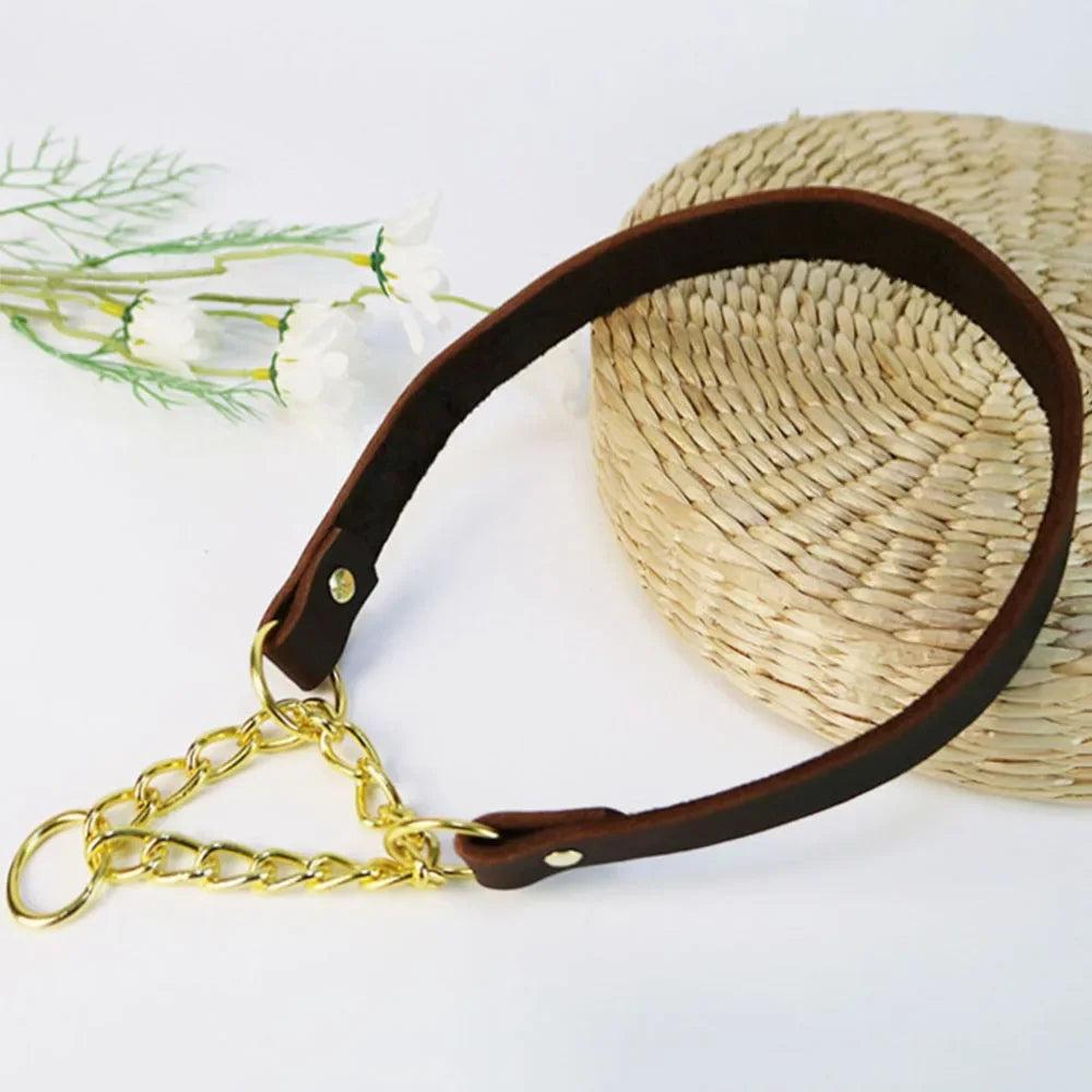 collier pour chien de dressage de couleur brun et or pose près d'un couvercle en osier. Image produit Boutiquechien