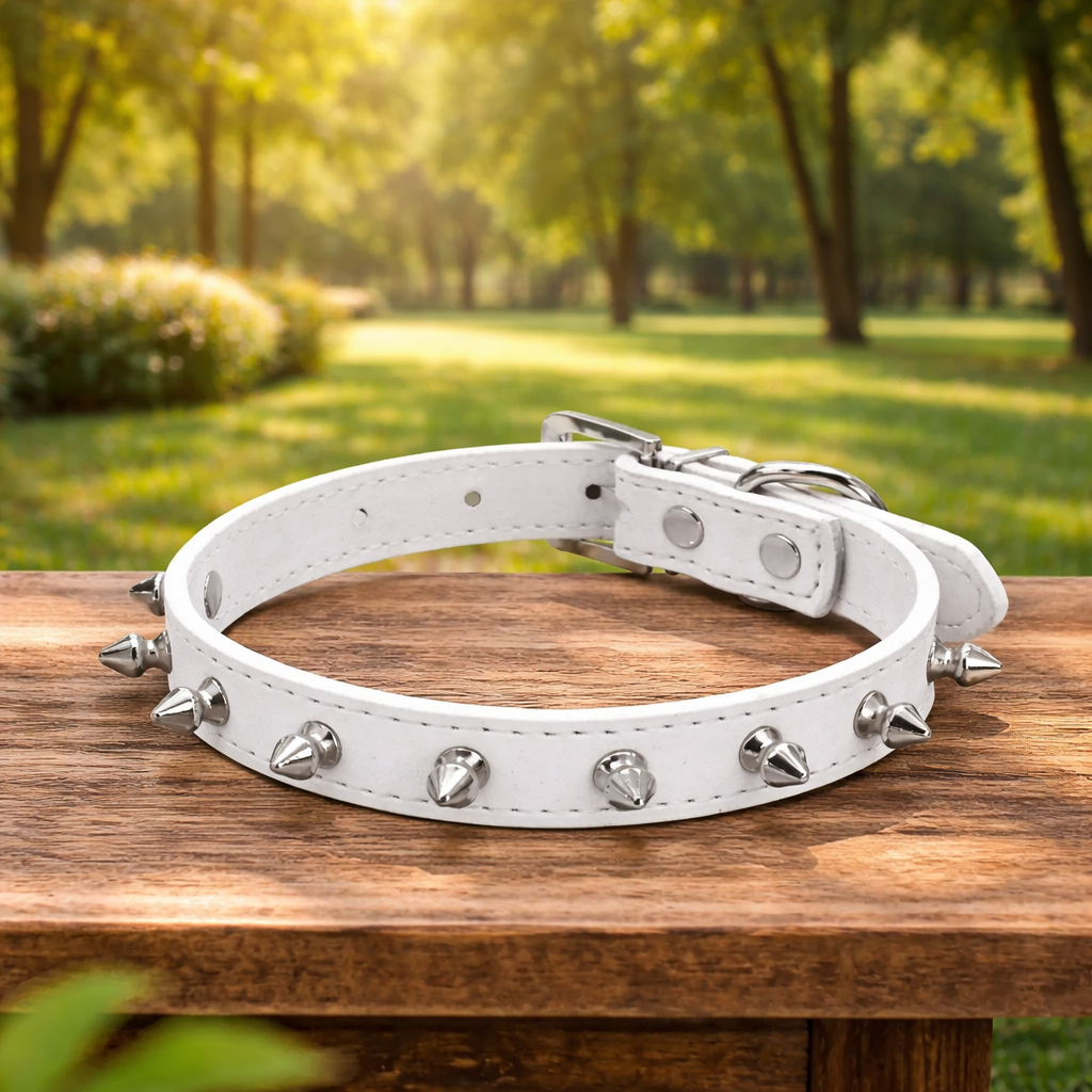 Collier chien cuir blanc sur une table