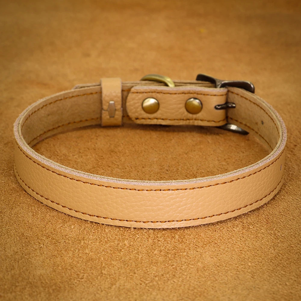 collier cuir pour chien de couleur beige. Image produit Boutiquechien