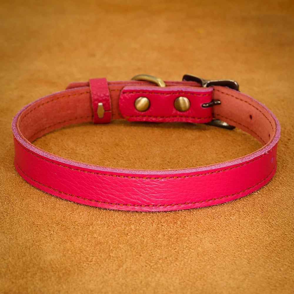 collier cuir pour chien de couleur rose pour petit chien. Image produit Boutiquechien