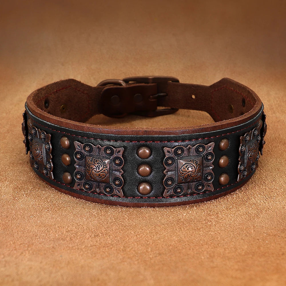 Collier chien en cuir de couleur noir. Image produit boutiquechien