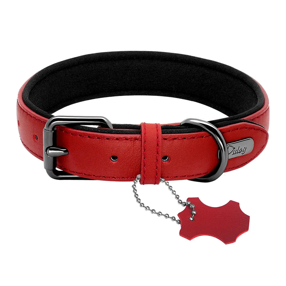 collier cuir rouge chien de haute qualité. Image produit Boutiquechien
