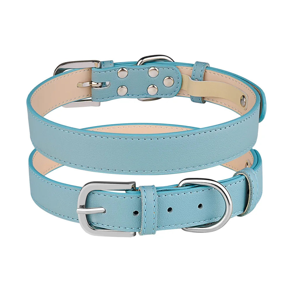 Collier chien de couleur bleu style cuir de boutiquechien