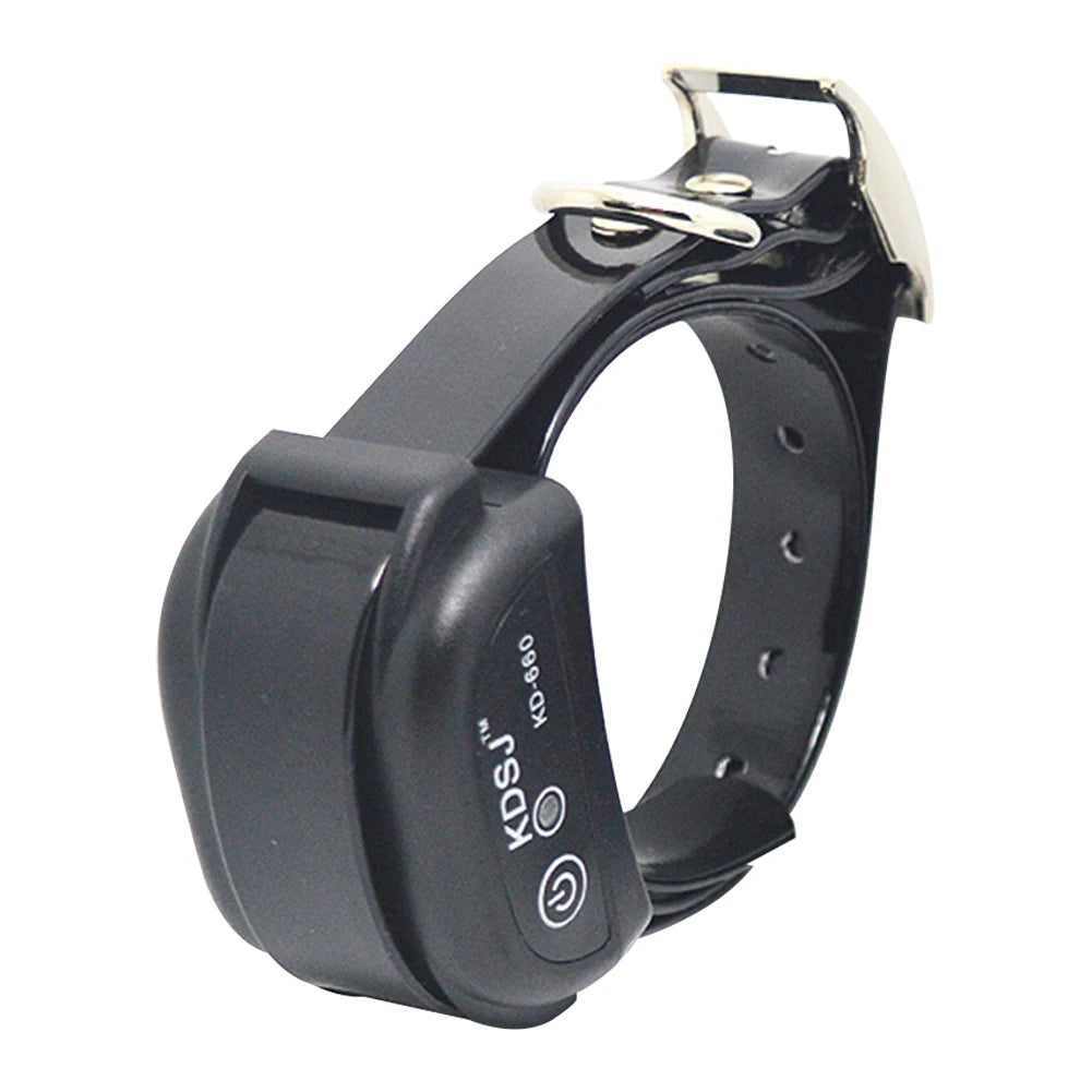 Collier chien de couleur noir pour les chiens qui s'enfuie. parfait pour éviter les fuites de votre chien. Image produit Boutiquechien