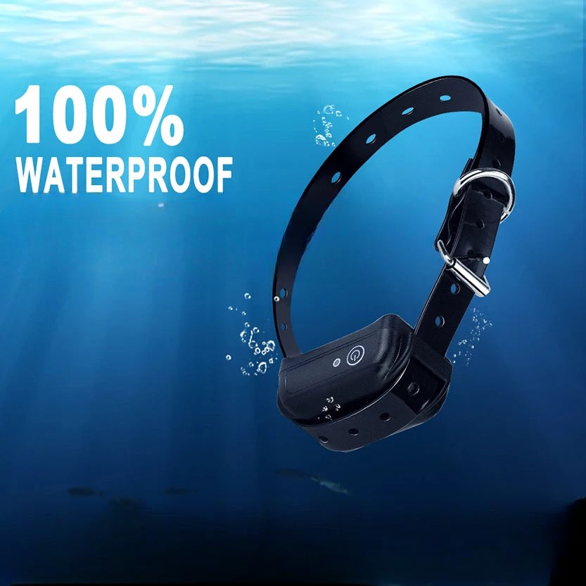Collier chien anti fugue waterproof de Boutiquechien