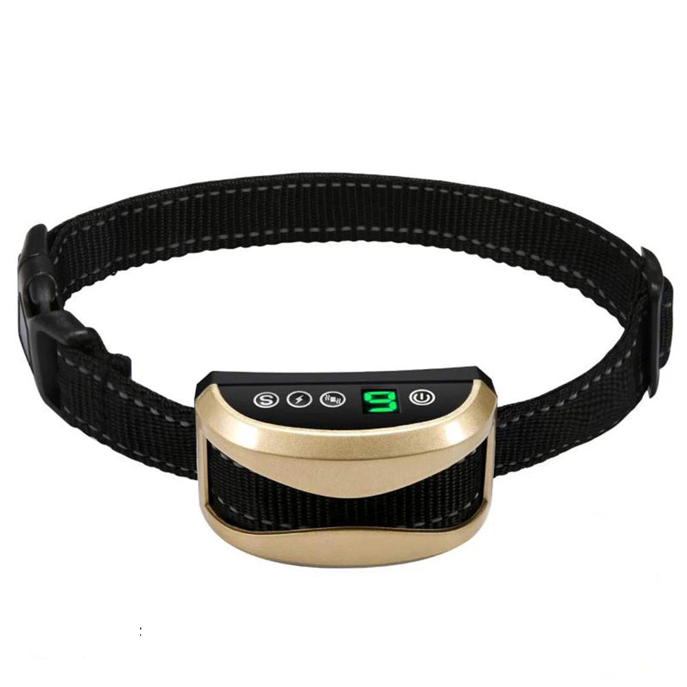 collier pour chien anti-aboiement de couleur or rose avec collier noir. Image produit Boutiquechien