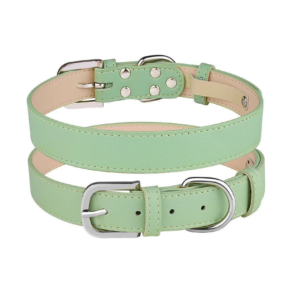 Collier chien de couleur vert style cuir de boutiquechien