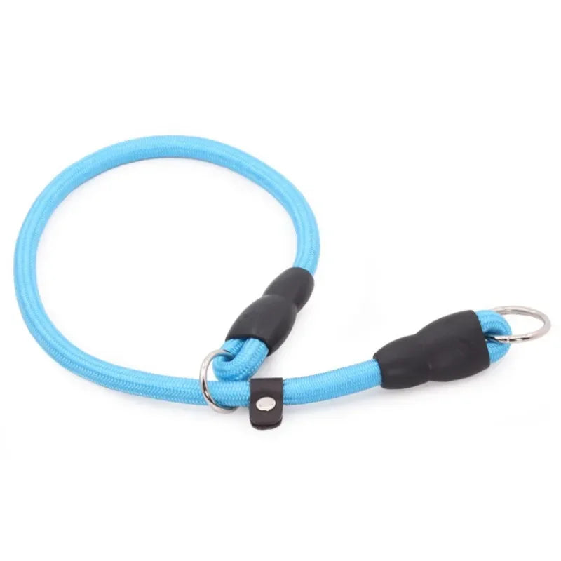 chien collier étrangleur de couleur bleu. Image produit Boutiquechien