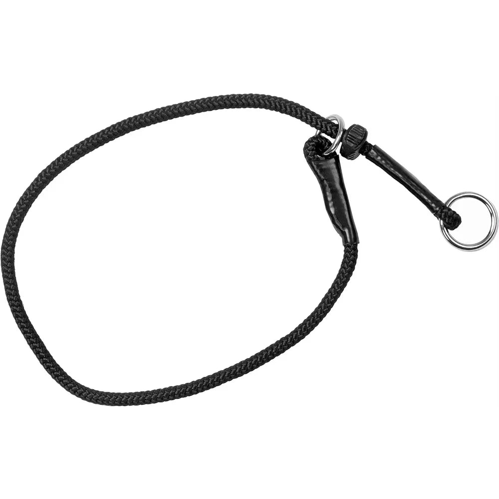 Collier chien étrangleur de couleur noir en petite ficelle. Image produit Boutiquechien