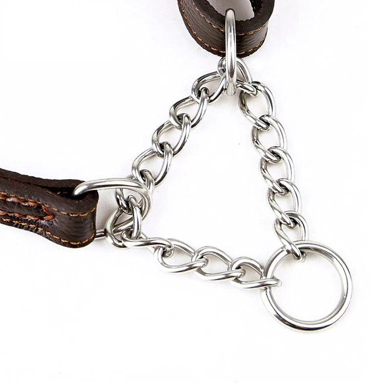 collier étrangleur pour chien de couleur brun avec un collier étrangleur metal. Image produit Boutiquechien