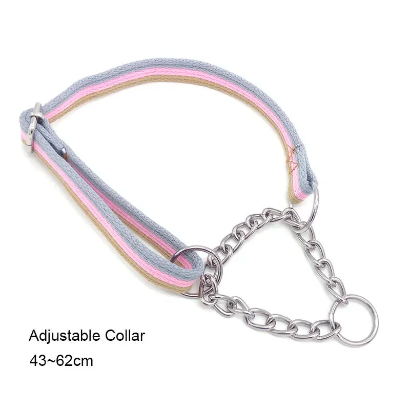 Collier chien étrangleur de couleur tricolor . Image produit Boutiquechien