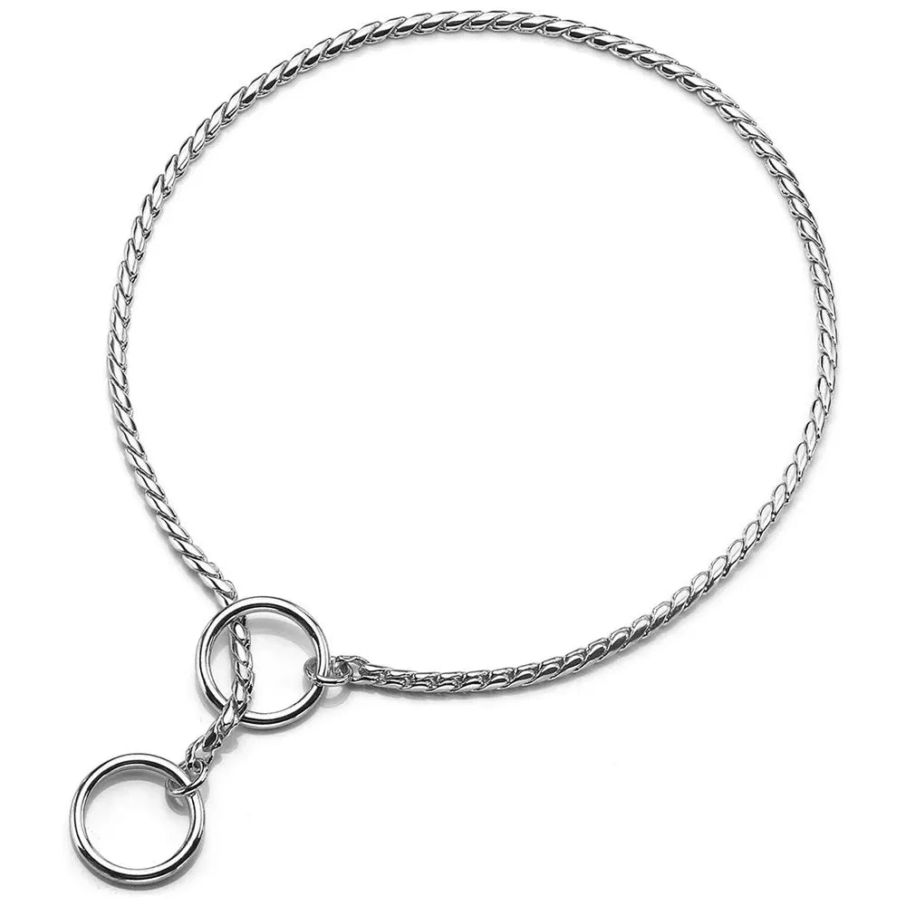 collier chien étrangleur de couleur gris. Image produit Boutiquechien