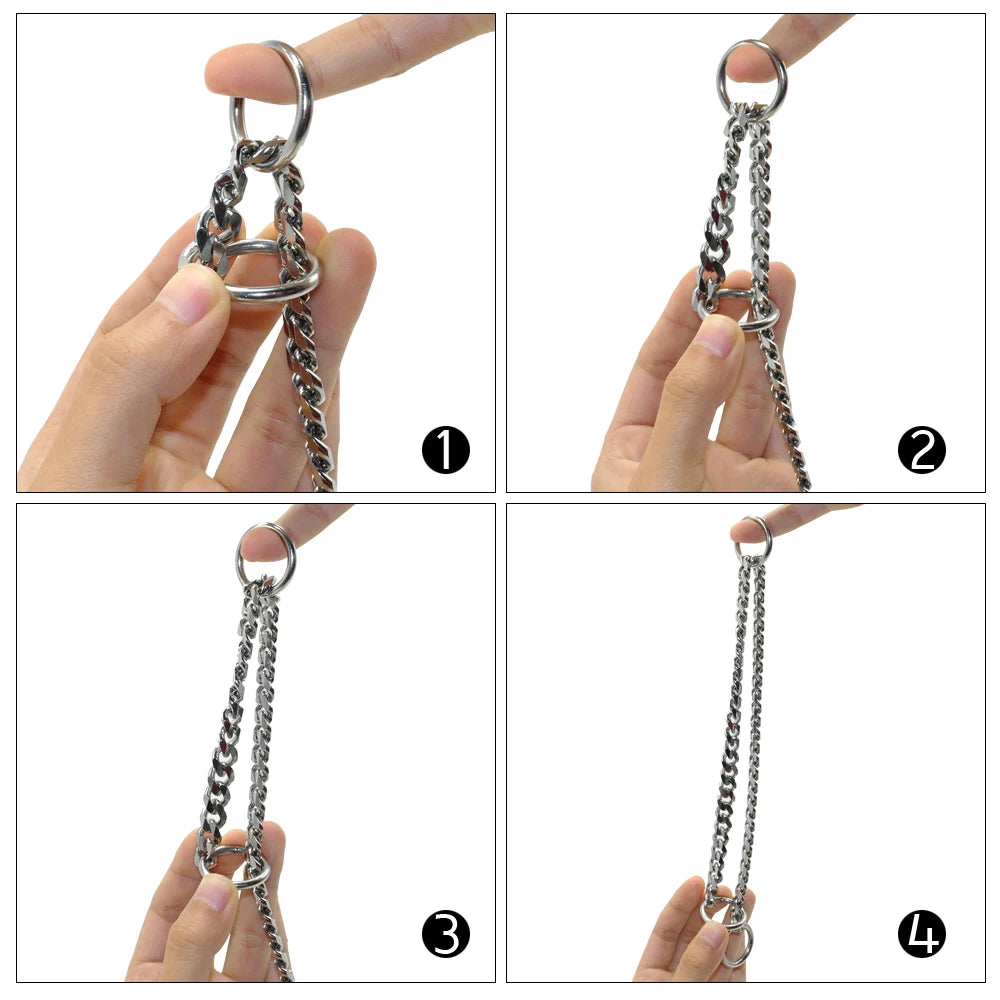 Collier chien en montrant le fonctionnement d'utilisation du produit. Image produit Boutiquechien