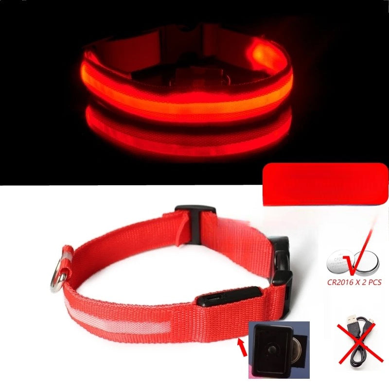 collier led rouge pour chien